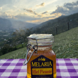 Miel 140 gr Ají Rocoto